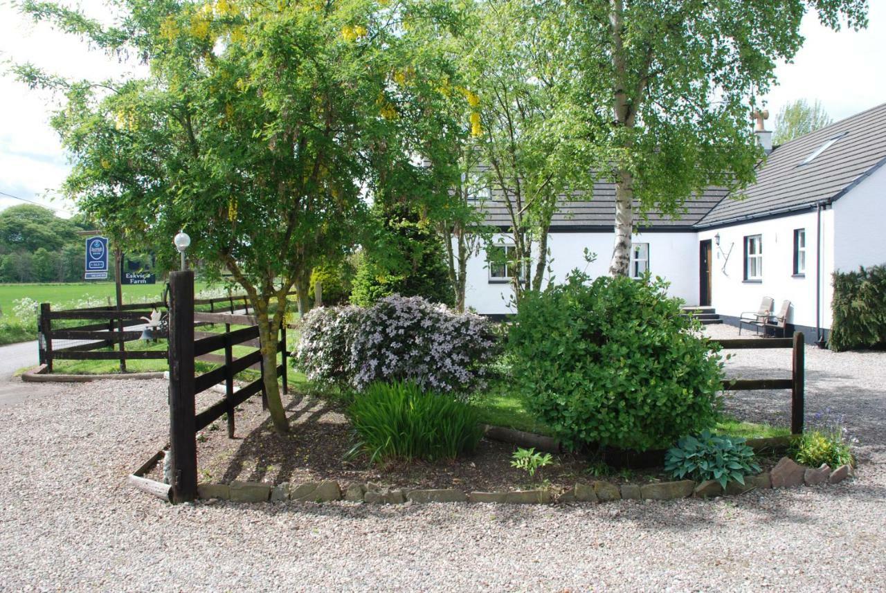 몬트로즈 Eskview Farm B&B 외부 사진