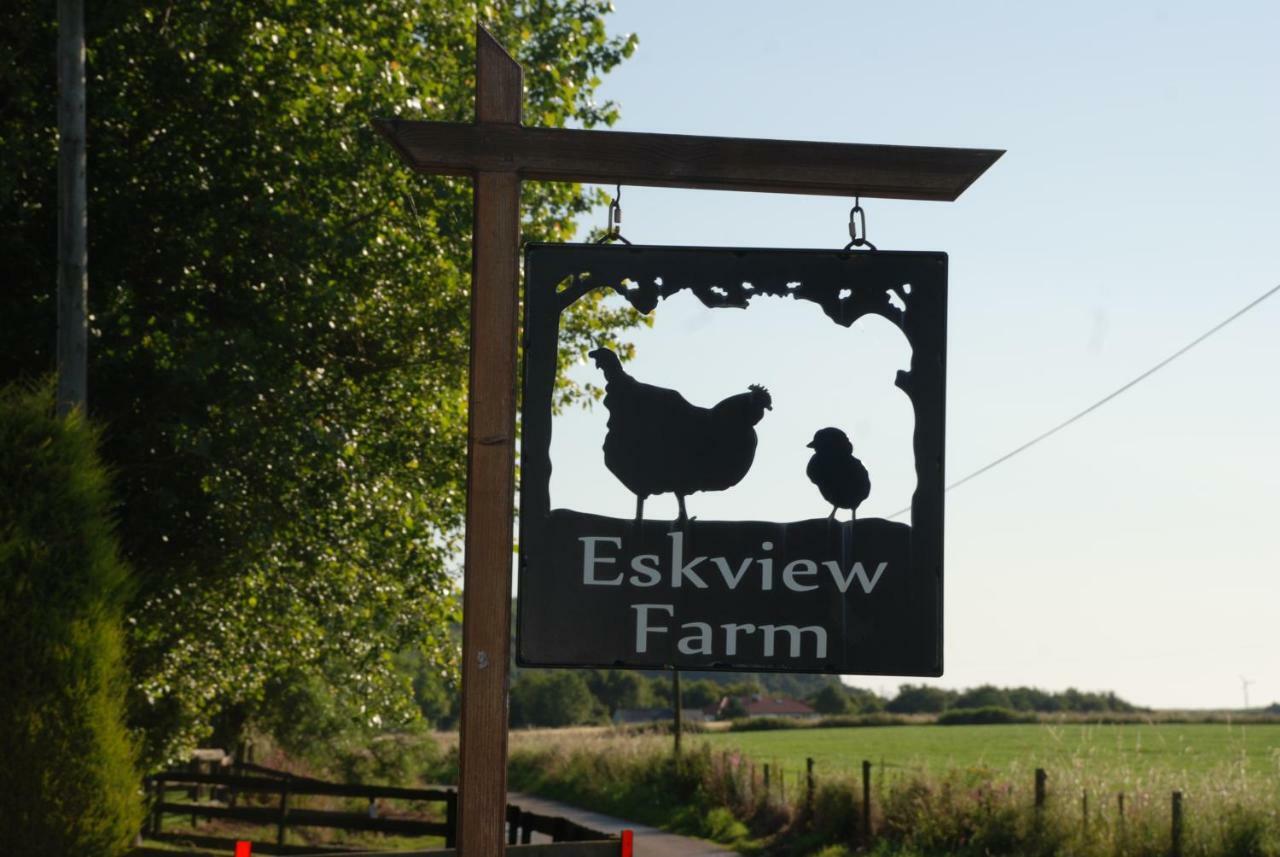 몬트로즈 Eskview Farm B&B 외부 사진